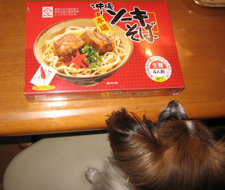 ビバ沖縄!.jpg