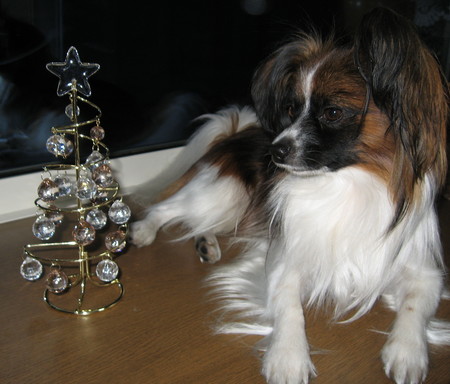 メリークリスマリン03.jpg